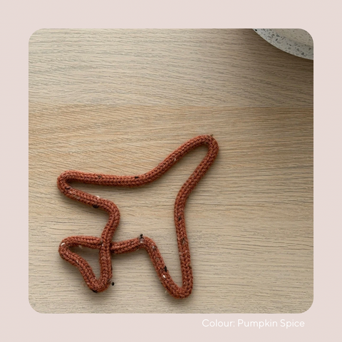 Airplane Knitted Wire Art